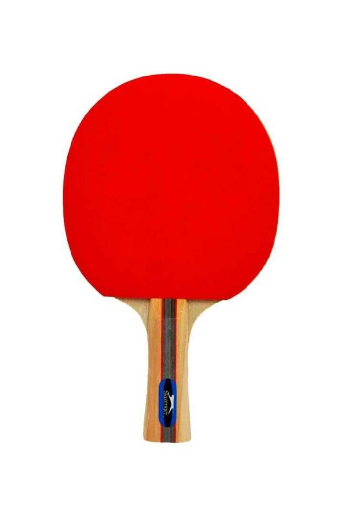 Slazenger Champion ITTF Onaylı Masa Tenis Raketi - 4