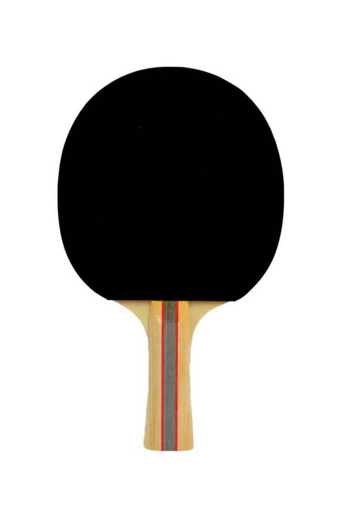 Slazenger Champion ITTF Onaylı Masa Tenis Raketi - 6