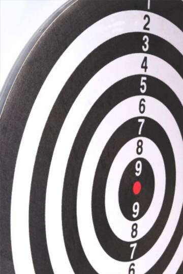 Dart Seti 38 cm (15 İnç) + 6 Dart Oku (6 Gr) Hedef Tahtası - 4