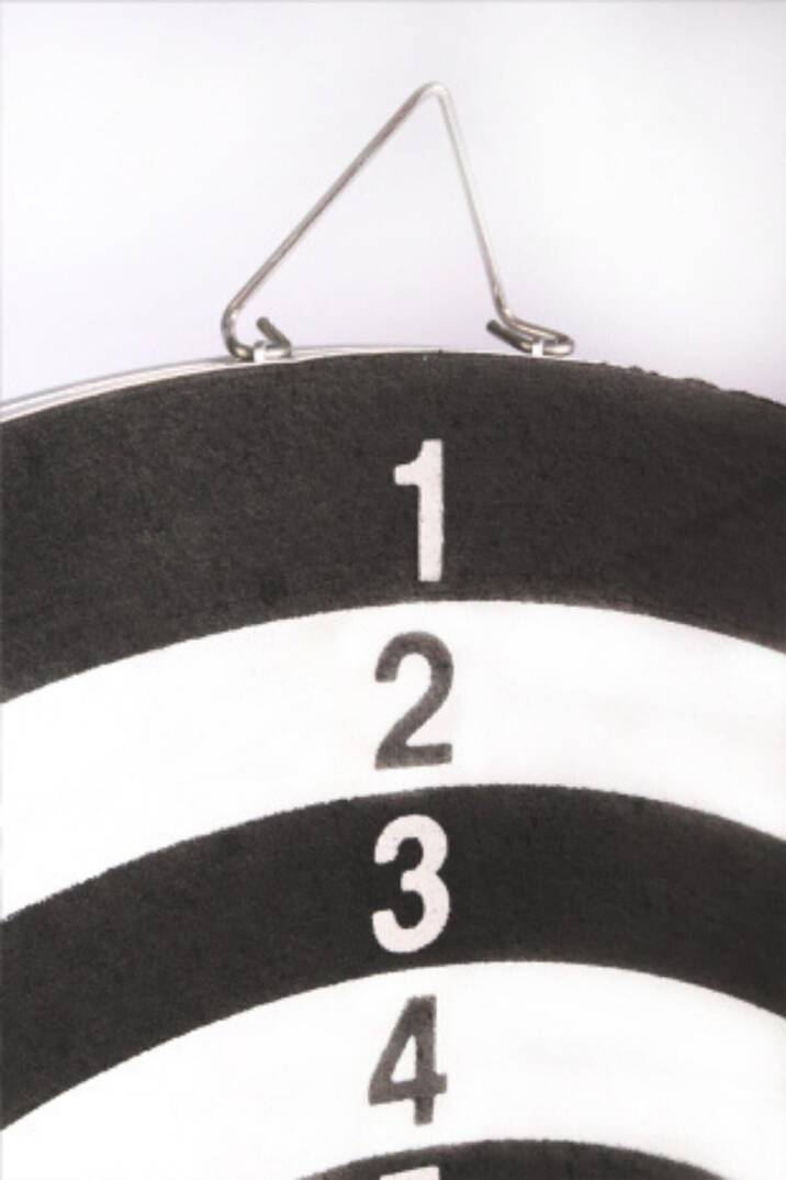Dart Seti 38 cm (15 İnç) + 6 Dart Oku (6 Gr) Hedef Tahtası - 6