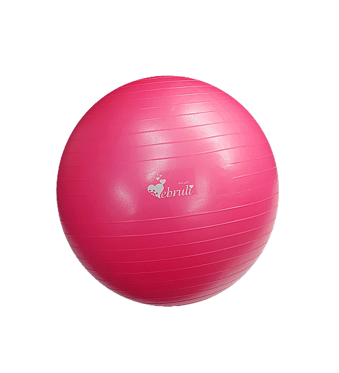 Ebru Fuşya Pilates Topu 65 cm