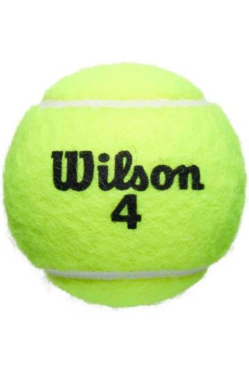 Roland Garros Clay Tennis Ball - 2